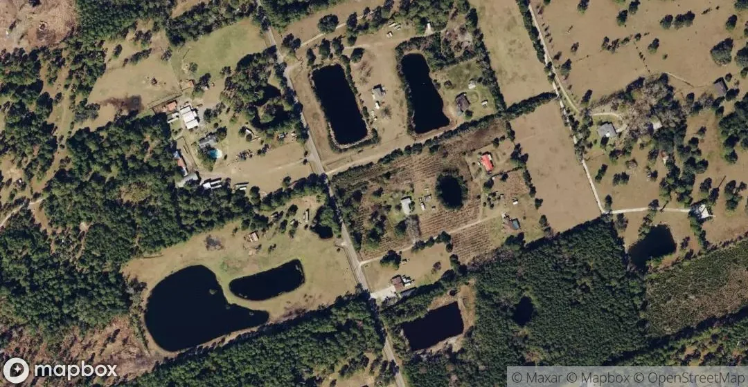 Aerial view of Black Hammock