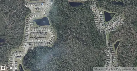 Drayton Preston Woods at ProvidenceHomes for Sale in Davenport, FL