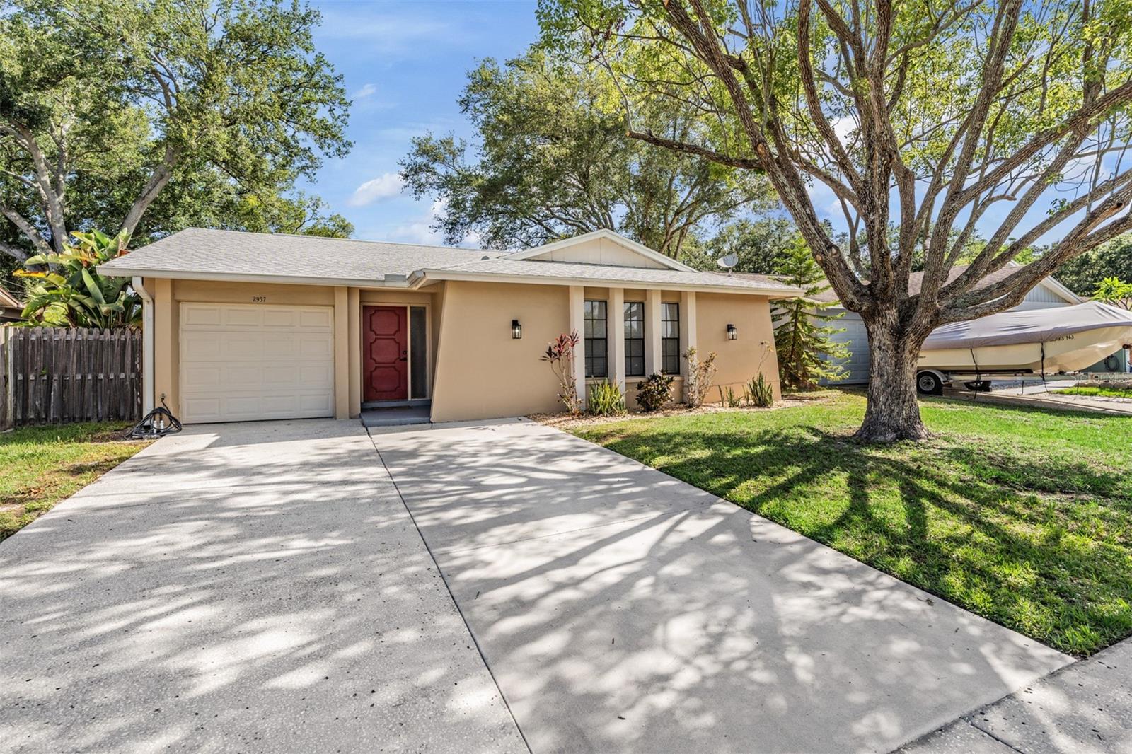 Cypress Green
