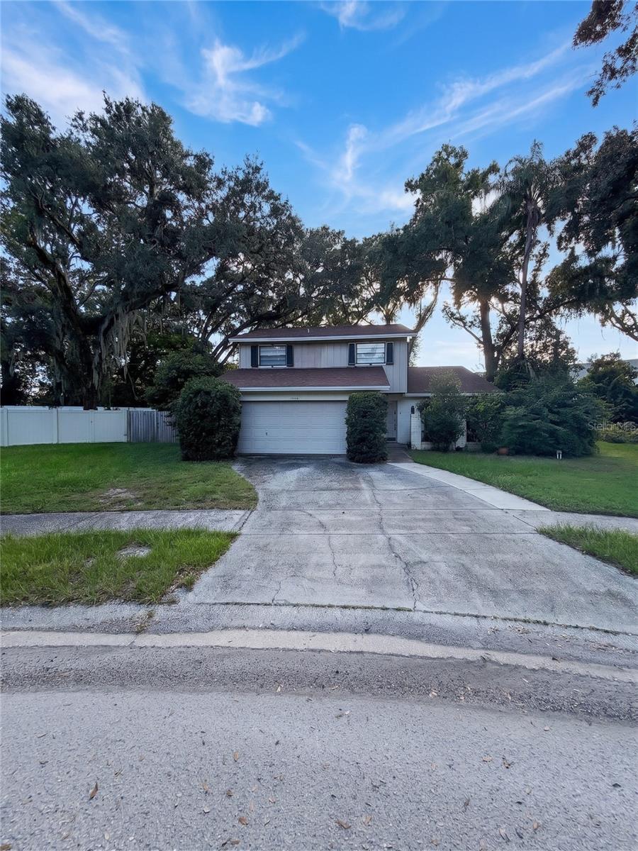 14714 OAK VINE DRIVE, home for sale in Lutz