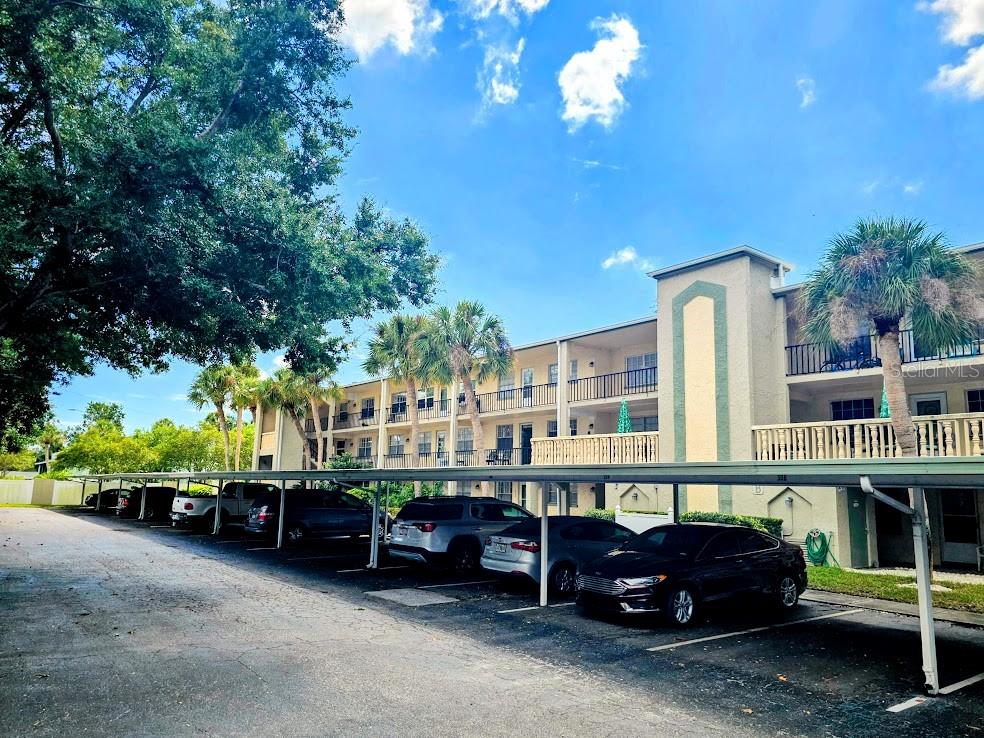11620 PARK BOULEVARD #303