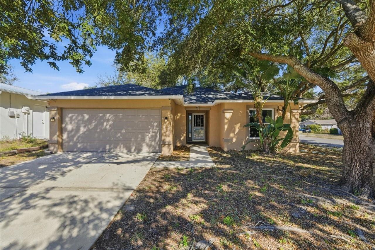 Jasmine Hills