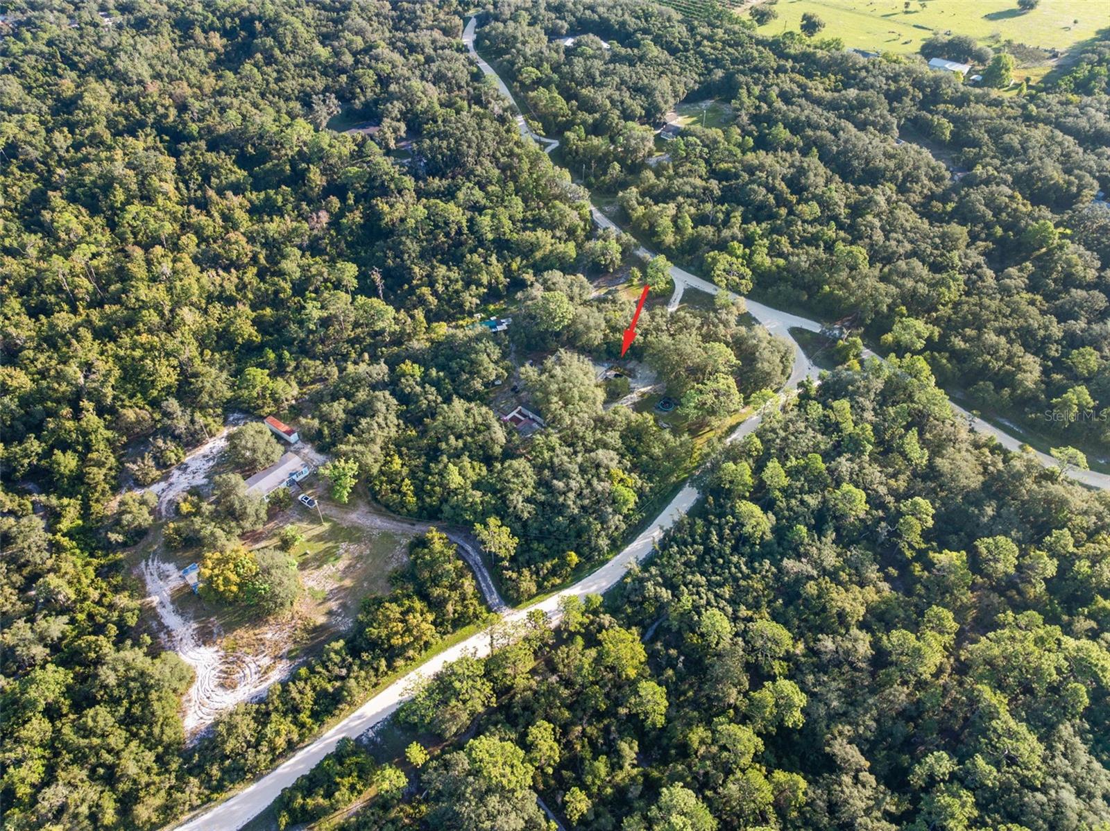 3310 BOB CAT TRAIL
