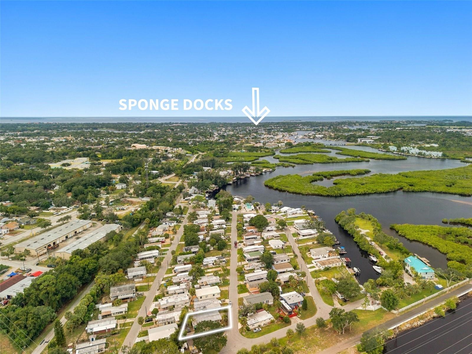 752 DRIFTWOOD LANE, home for sale in Tarpon Springs