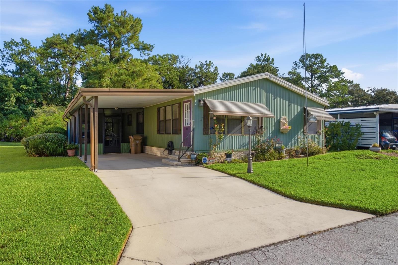 Dora Pines in Mount Dora