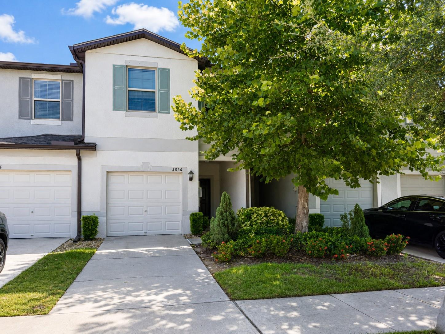 3836 CAT MINT STREET home for sale in Touchstone