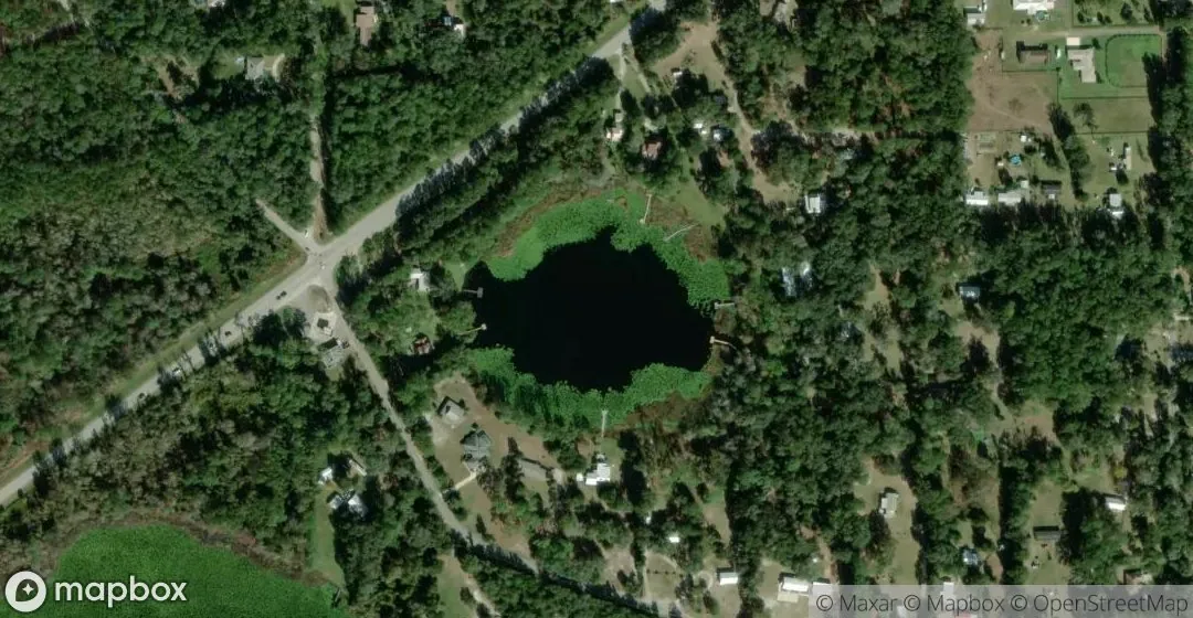 Aerial view of Pine Lake
