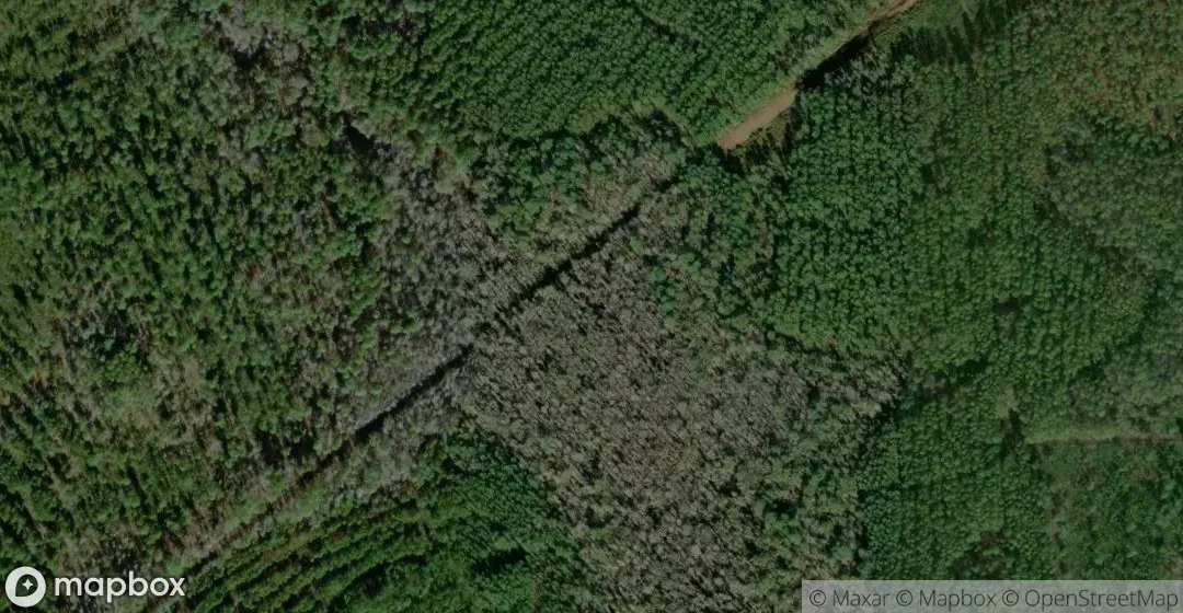 Aerial view of Turkey Creek